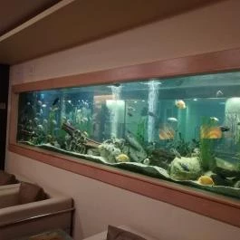 NaturMed Hotel Carbona Hévíz - Belső