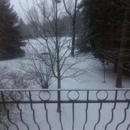 Wellness Hotel Szindbád Balatonszemes - Környék