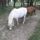 Berek Halászkert Bajánsenye - Egyéb