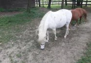 Berek Halászkert Bajánsenye