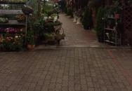 Trattoria al Forno Veresegyház