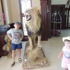 Borostyán Med Hotel Nyíradony-Tamásipuszta - Belső