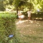 Thermal Camping Tiszafüred - Környék