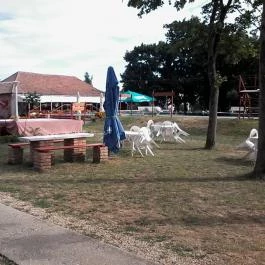 Tiszaörsi Fürdő szállásai Tiszaörs - Medence/kert