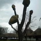 Varga Tanya Hotel, Konferencia & Szabadidő Központ Kerekegyháza - Egyéb