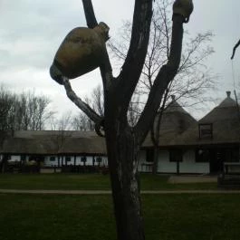 Varga Tanya Hotel, Konferencia & Szabadidő Központ Kerekegyháza - Egyéb