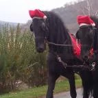 Mátyus Udvarház Kengyel Fogadó Eger - Környék