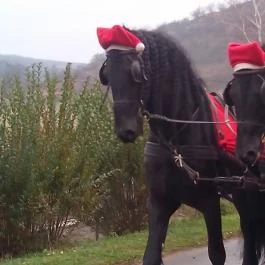 Mátyus Udvarház Kengyel Fogadó, Eger - Környék