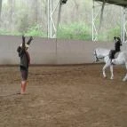 Mátyus Udvarház Kengyel Fogadó Eger - Szórakozás/Sport