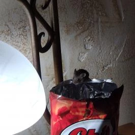 Puchner Kastélyszálló Bikal - Belső