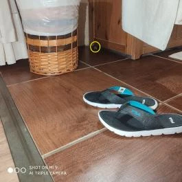 Puchner Kastélyszálló Bikal - Belső