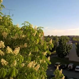 Duna Hotel Paks - Medence/kert