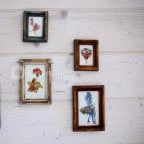 Eden Rose Apartman Pilisszentkereszt - Egyéb