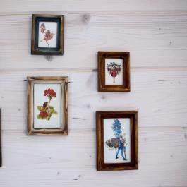 Eden Rose Apartman, Pilisszentkereszt - Egyéb