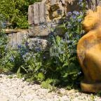 Eden Rose Apartman Pilisszentkereszt - Egyéb