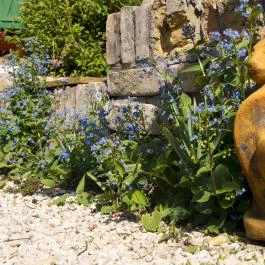 Eden Rose Apartman, Pilisszentkereszt - Egyéb