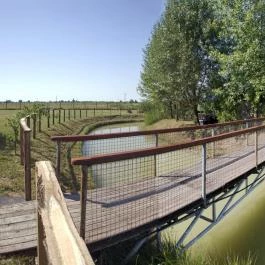 Udvardi-Tanya & Pihenőpark, Kiskunmajsa - Környék