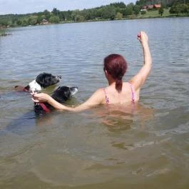 Abbázia Country Club Nemesnép - Környék