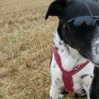 Abbázia Country Club Nemesnép - Egyéb