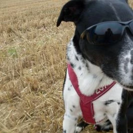 Abbázia Country Club Nemesnép - Egyéb