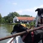 Hotel Villa Natura Garabonc - Környék