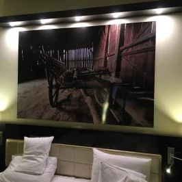 Gotthard Therme Hotel & Conference Szentgotthárd - Szobák