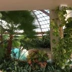 Gotthard Therme Hotel & Conference Szentgotthárd - Wellness