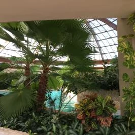 Gotthard Therme Hotel & Conference Szentgotthárd - Wellness