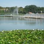 Hotel Corvus Aqua Orosháza - Környék