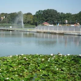 Hotel Corvus Aqua, Orosháza - Környék