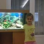 Hotel Aranypart Siófok - Belső