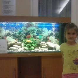 Hotel Aranypart, Siófok - Belső