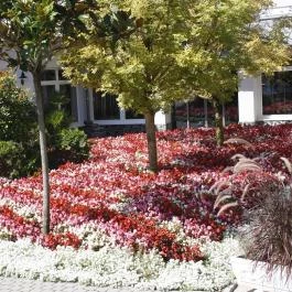 Wellness Hotel Katalin, Gyenesdiás - Medence/kert