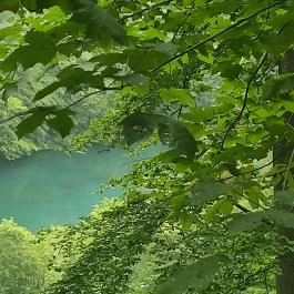 Szikla-forrás Szilvásvárad - Egyéb