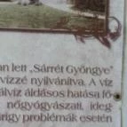 Füzesgyarmati Kastélypark Fürdő Füzesgyarmat - Egyéb