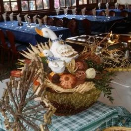 Lázár Lovaspark Domonyvölgy - Belső