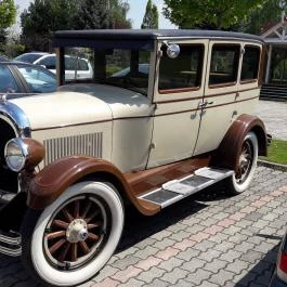 Aranyhal Étterem Győr - Egyéb