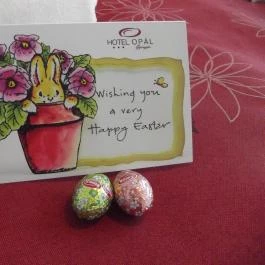 Hotel Opál , Gyöngyös - Egyéb