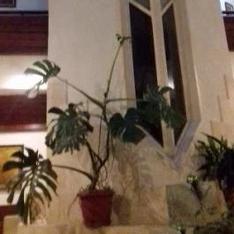 Hotel Solar, Nagyatád - Belső