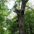 Hotel Solar Nagyatád - Környék