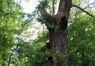 Hotel Solar Nagyatád