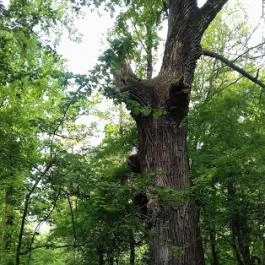 Hotel Solar, Nagyatád - Környék