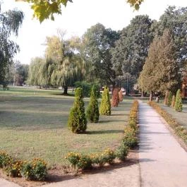 Korona Panzió, Csokonyavisonta - Környék