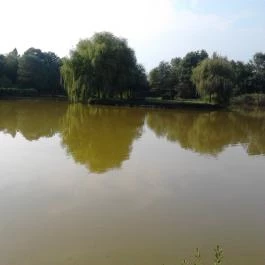 Korona Panzió, Csokonyavisonta - Környék