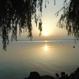 Világos Hotel Balatonvilágos - Egyéb