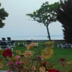 Világos Hotel Balatonvilágos - Egyéb