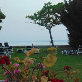 Világos Hotel Balatonvilágos - Egyéb