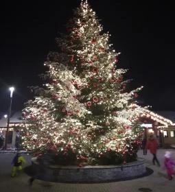 294. legjobb látnivaló: Maya Játszópark és Dzsungel Játszóház