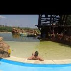 Szőlőszem Farm Apartmanszálló Tiszaszőlős - Egyéb