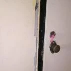 Senator Panzió Nyíregyháza - Egyéb